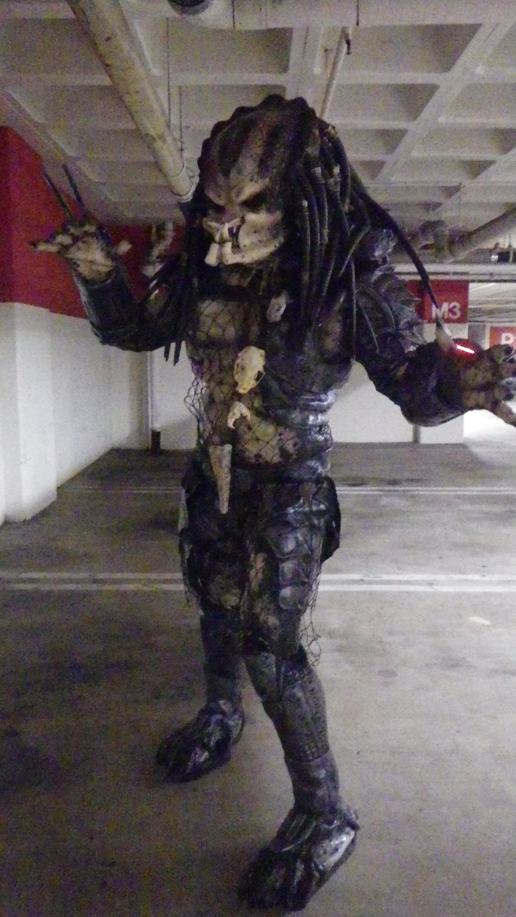 IMGP1114.JPG