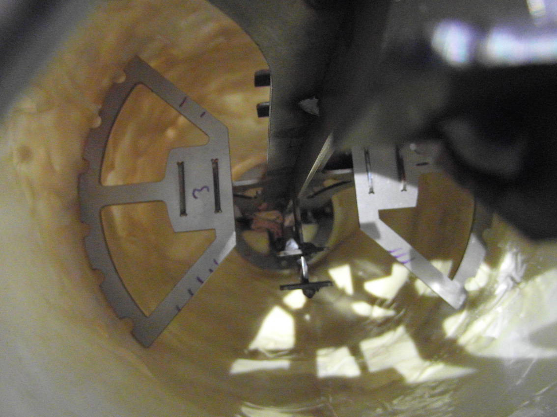 Insertion 1 note body Putty.JPG