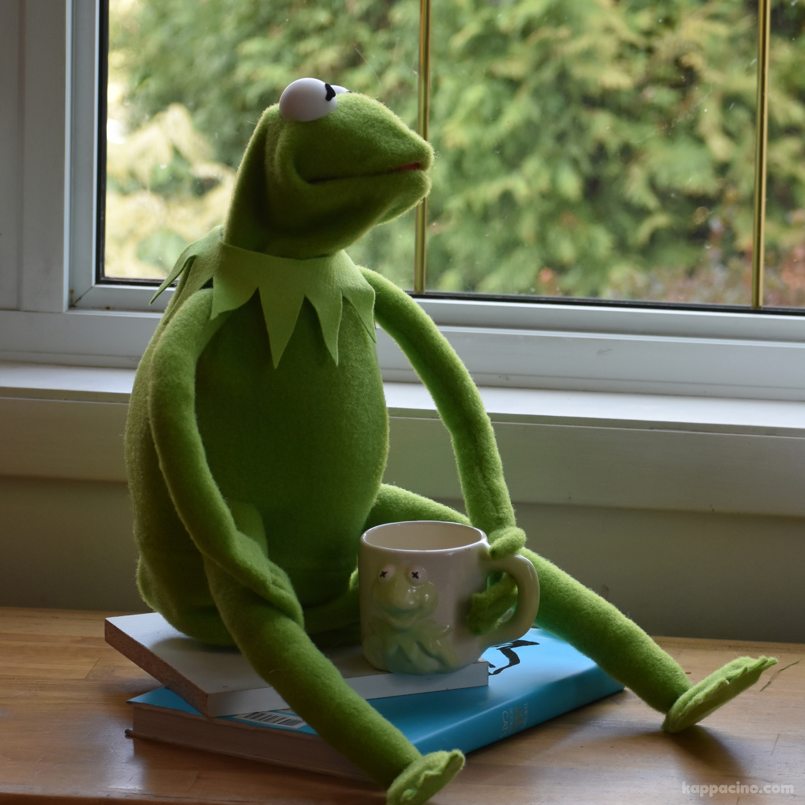insta_kermit_tea_watermark2.jpg
