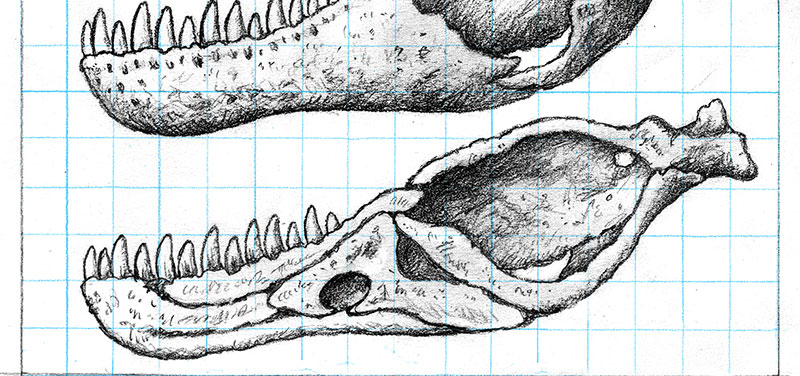interior_jaw_by_strick67-dc7znbk.jpg