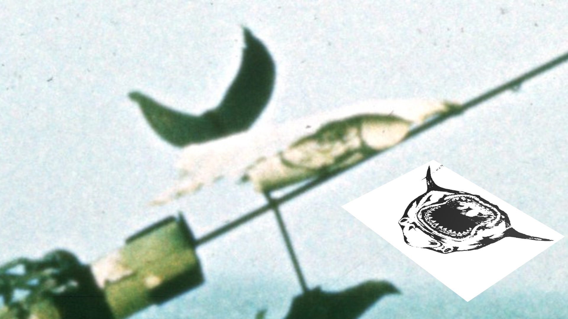 Jaws still - flag design 2.jpg