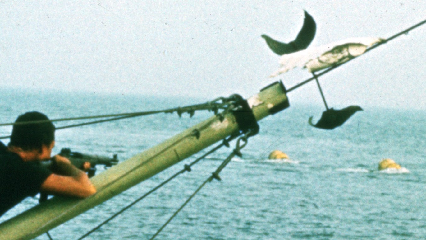 Jaws still - flag design.jpg