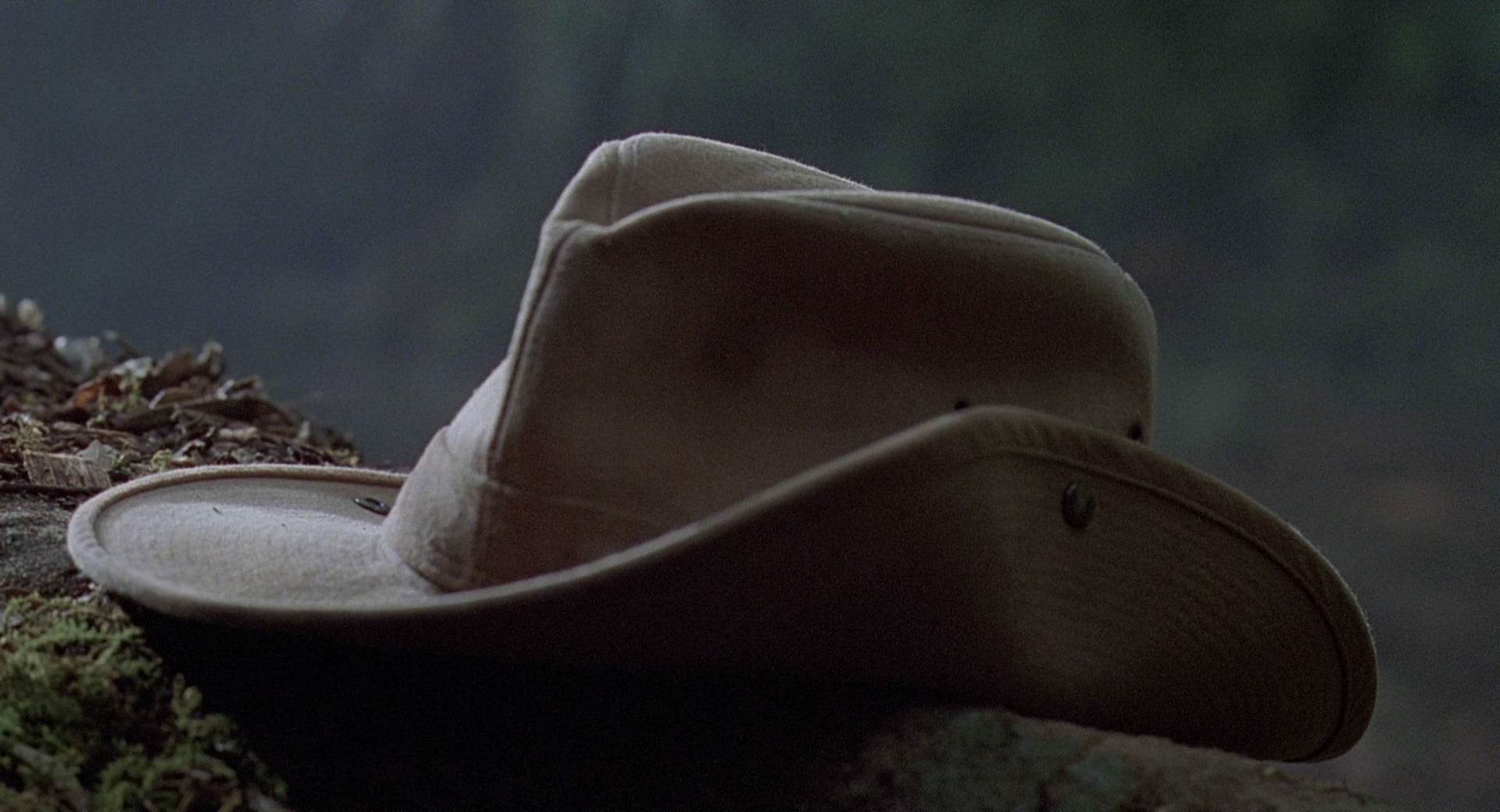 jurassic-park-movie-screencaps.com-12487.jpg