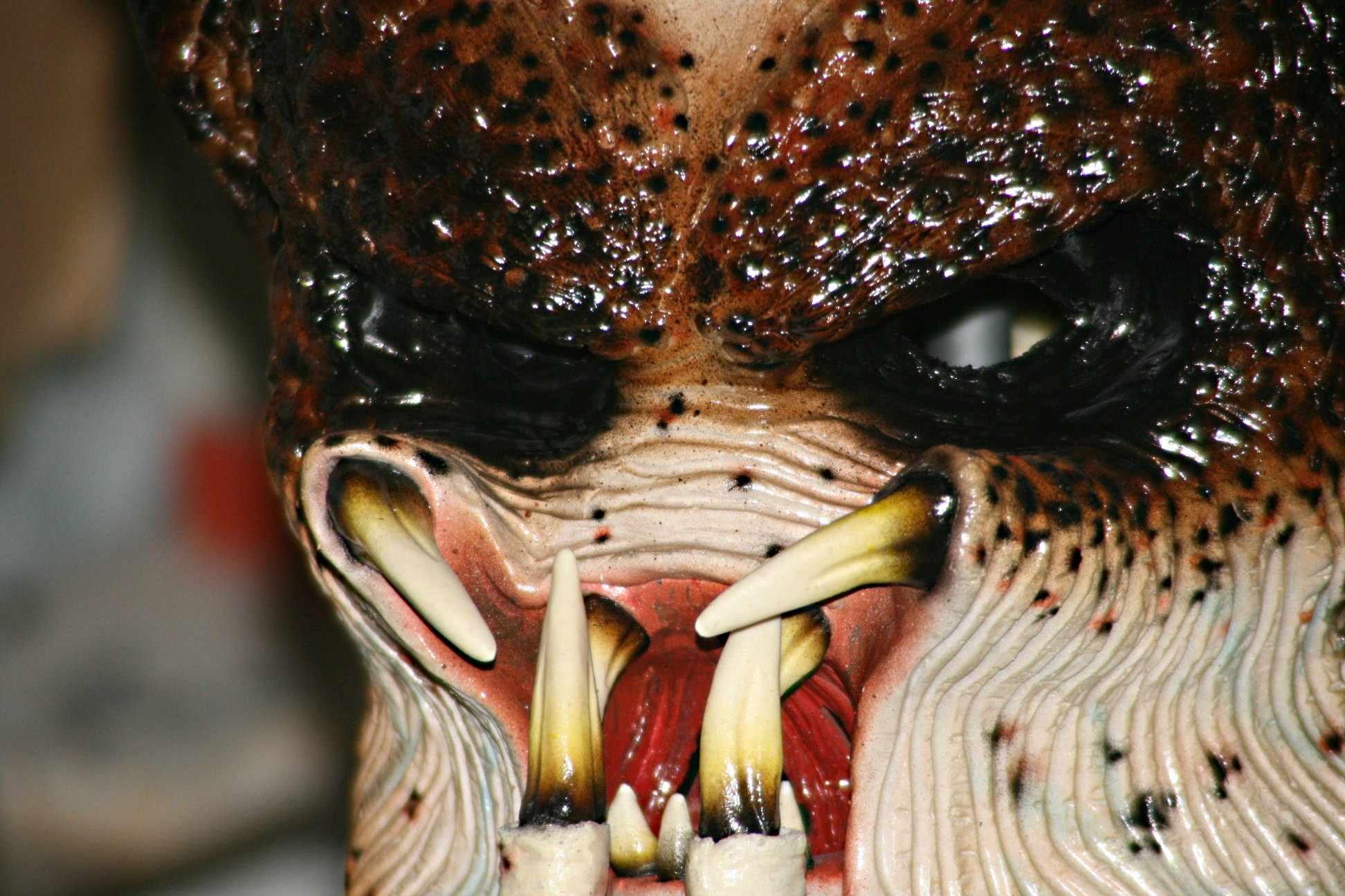 KB Close up 150a.jpg