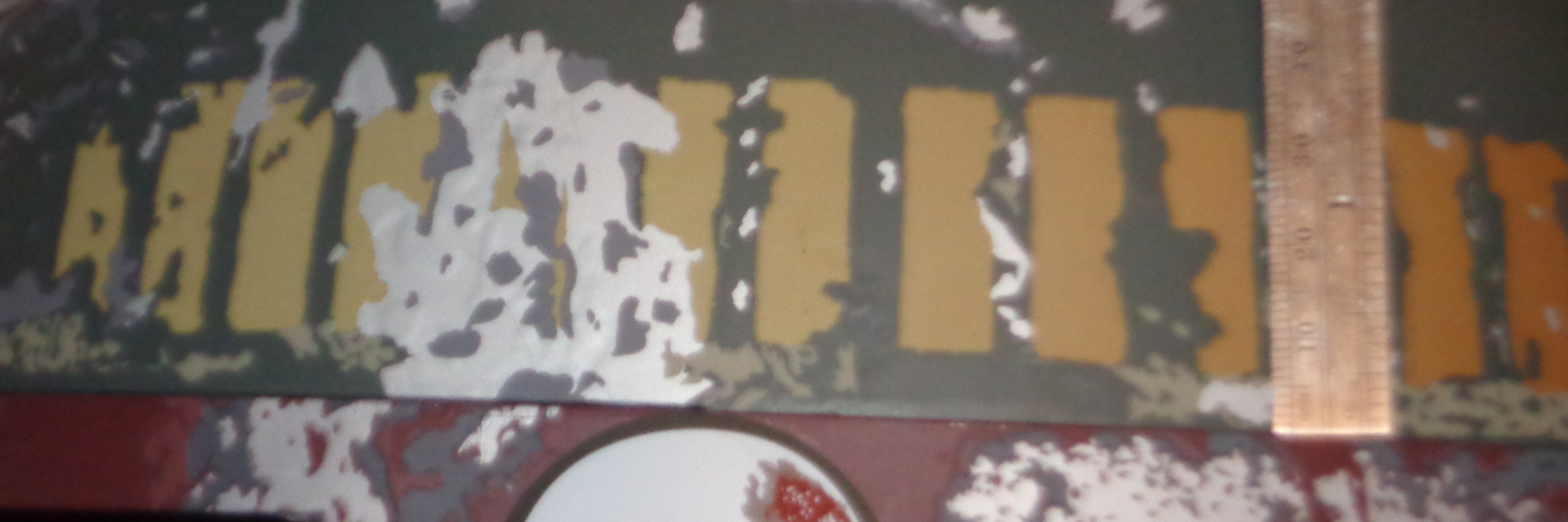killstripes rear.JPG