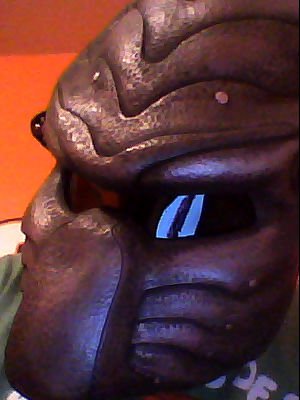 laptop_camera_helm_pic.jpg