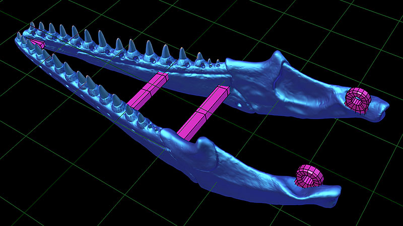 LCJhdWQiOlsidXJuOnNlcnZpY2U6ZmlsZS5kb3dubG9hZCJdfQ.jpg