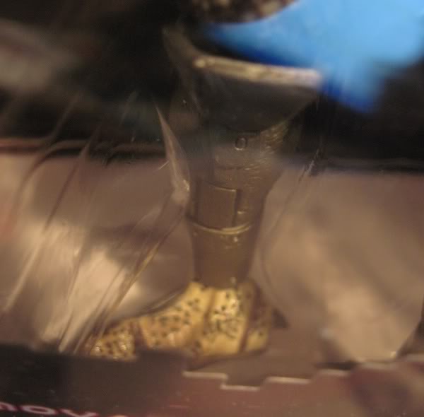 leg.jpg