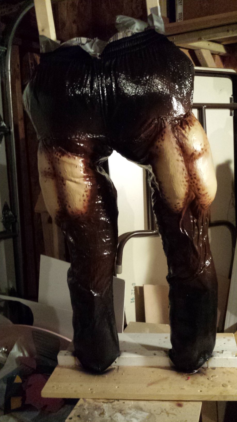 legs1.jpg