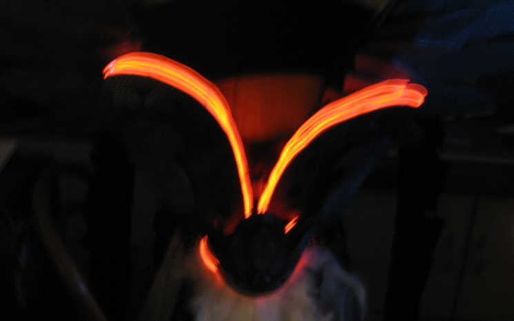 lights.png