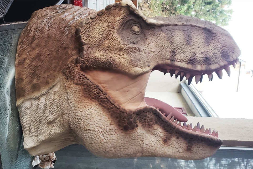 tyrannosaurus jurassic period