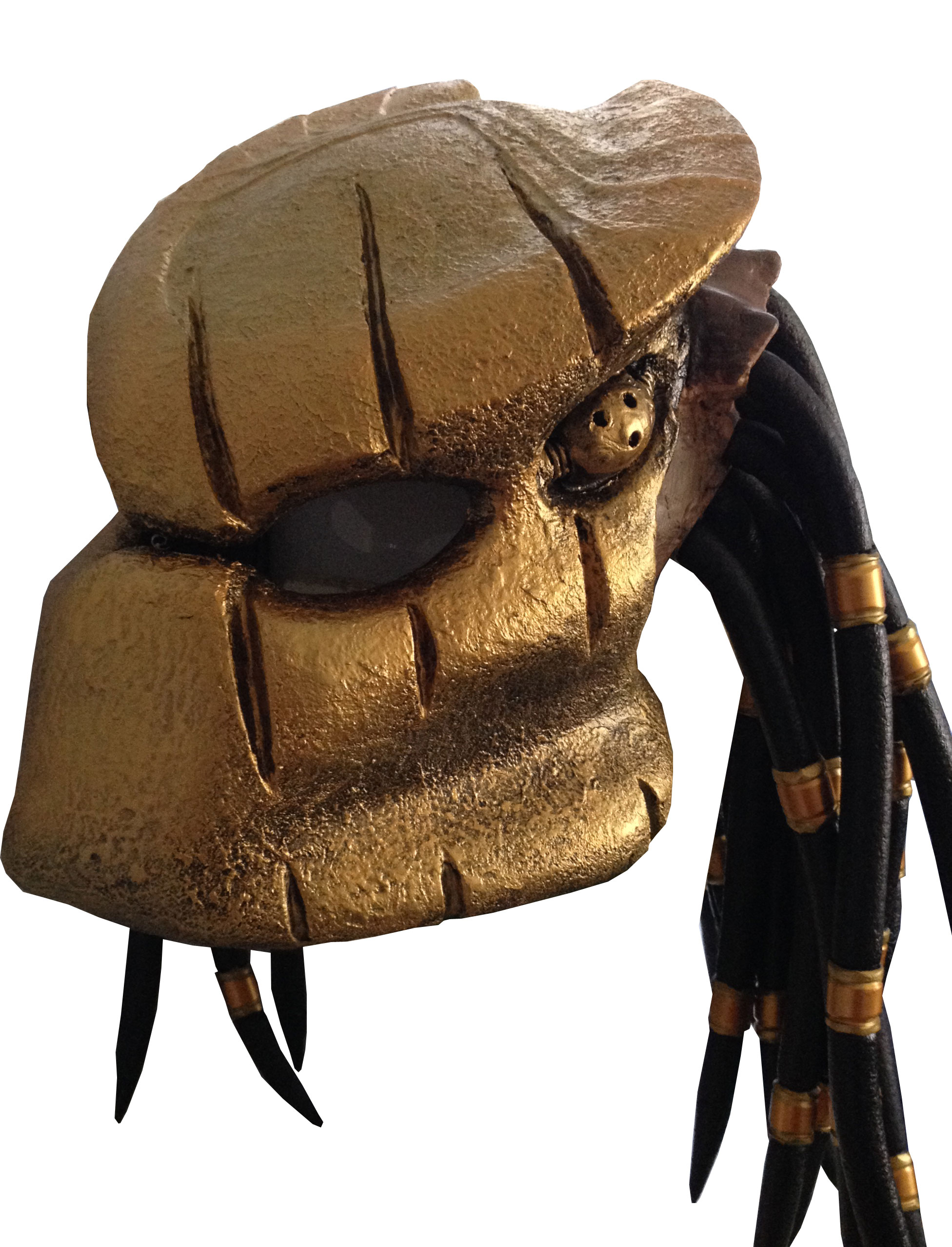 mask1.jpg