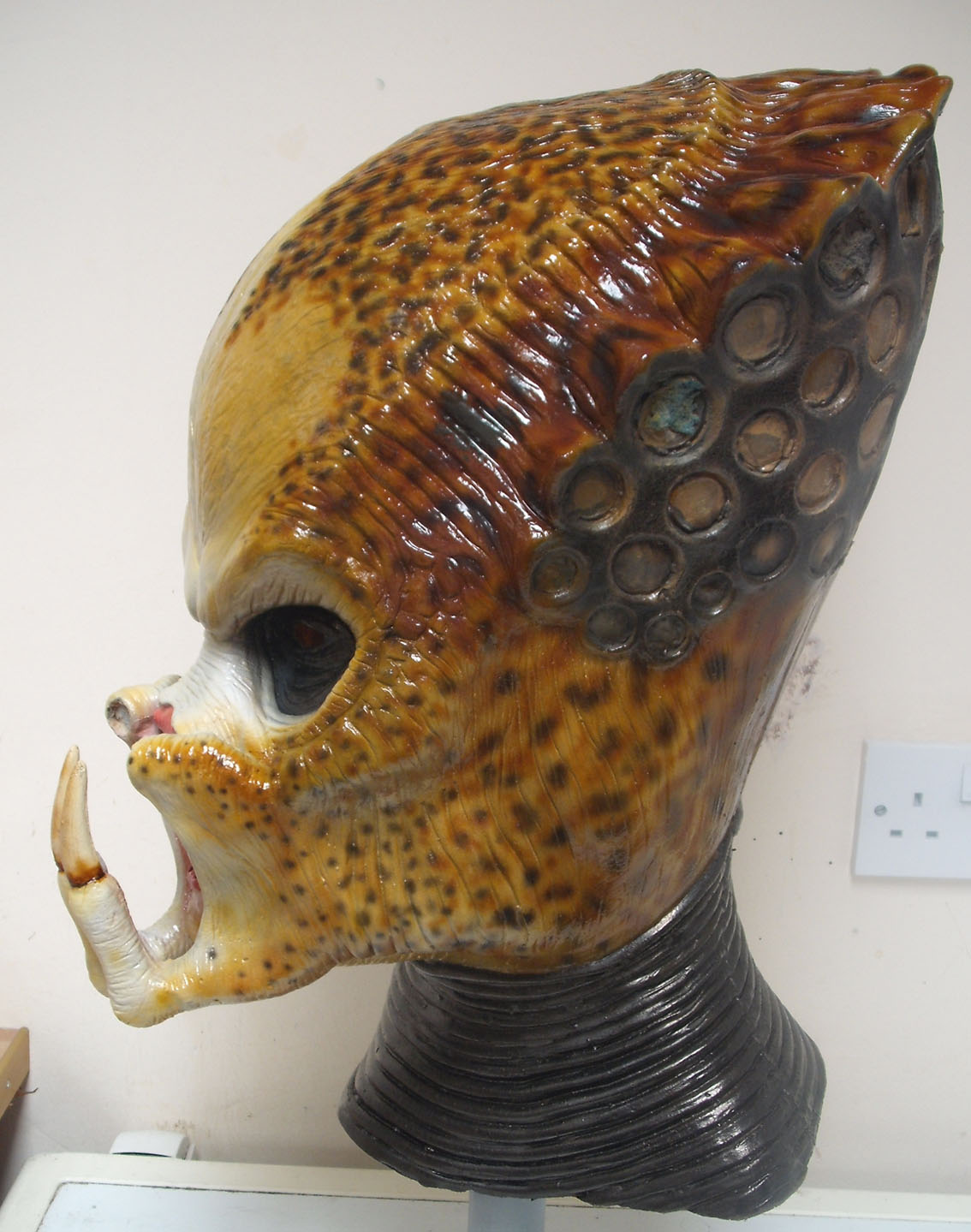 mask14.jpg