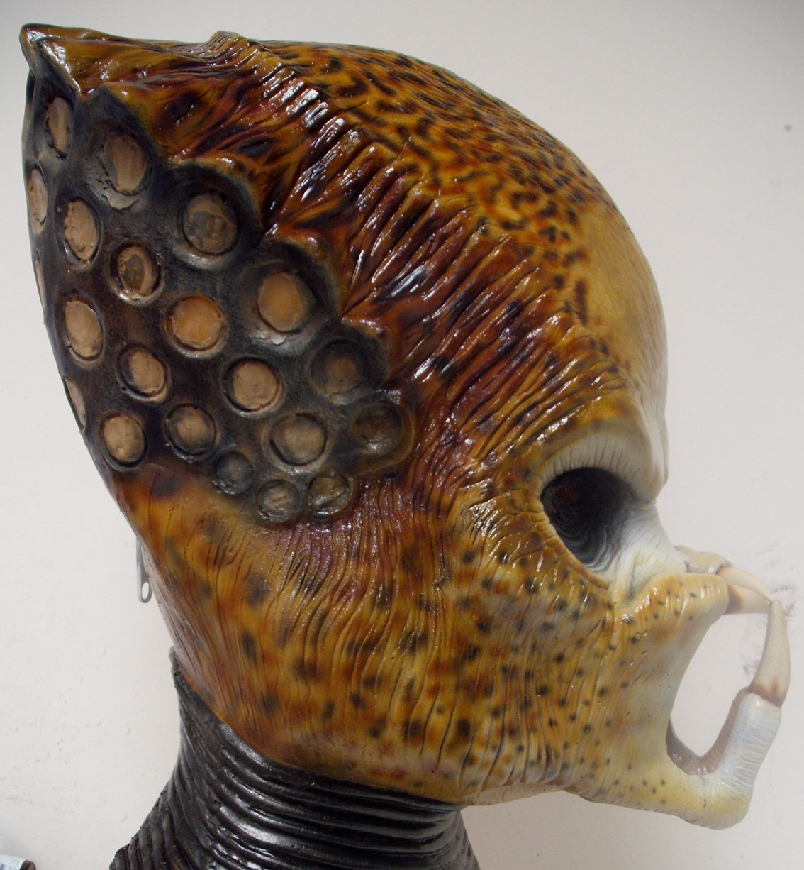 mask18.jpg