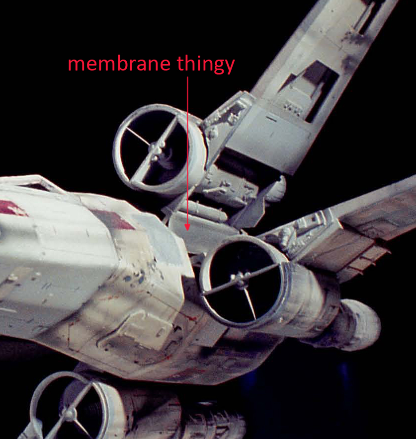 membrane thing.jpg