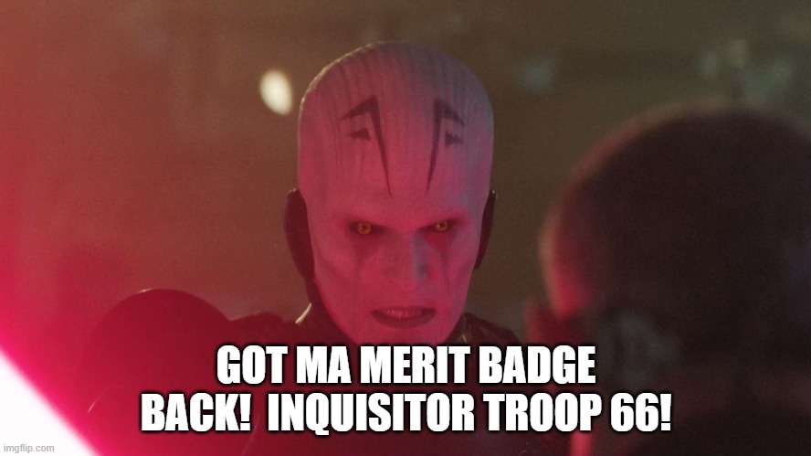 merit badge.jpg