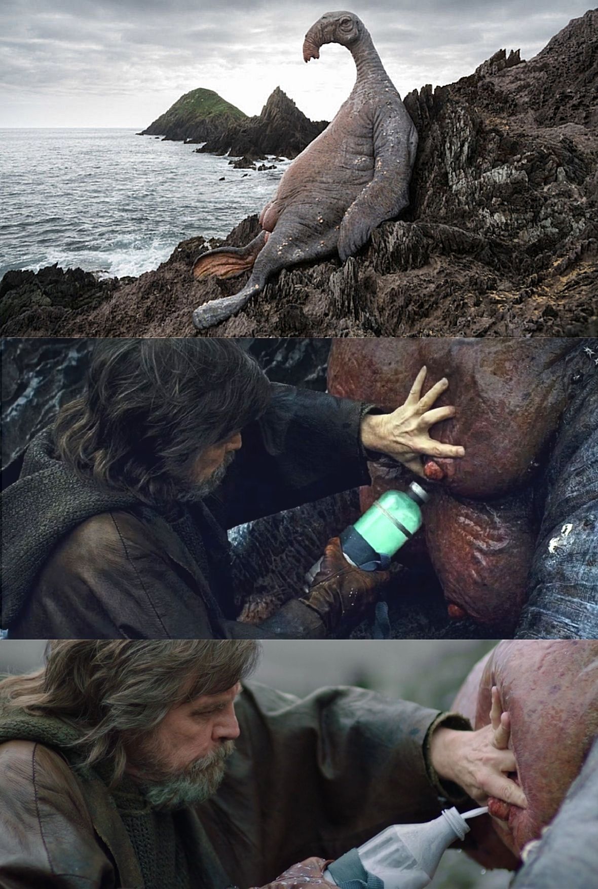 milk.jpg