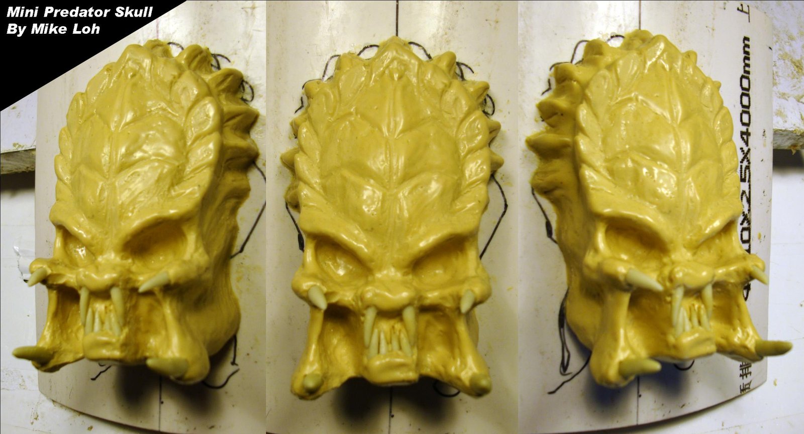 Mini_Predator_Skull_BuckleHead_by_MichaelLoh.jpg
