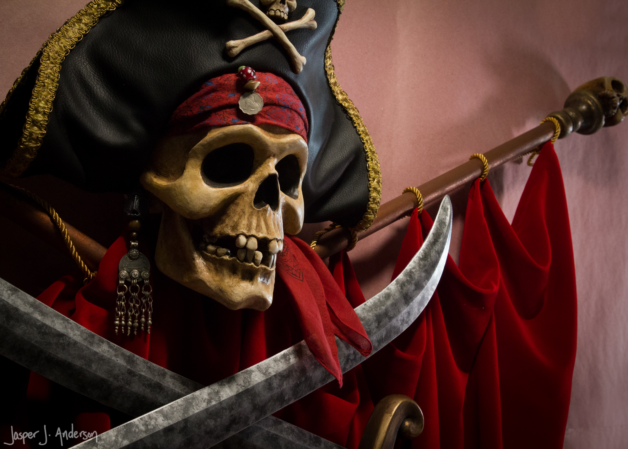 Modern Talking Pirate Skull-0046.jpg