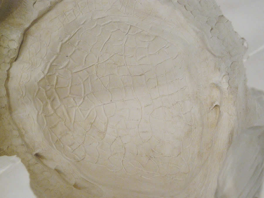 Mold001.jpg