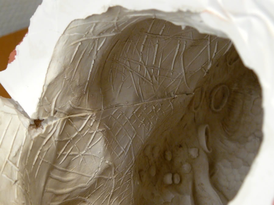 Mold003.jpg