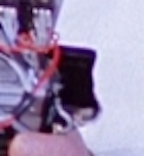 molex.jpeg