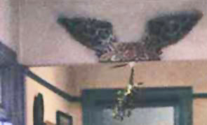 Monicas thing 4.JPG