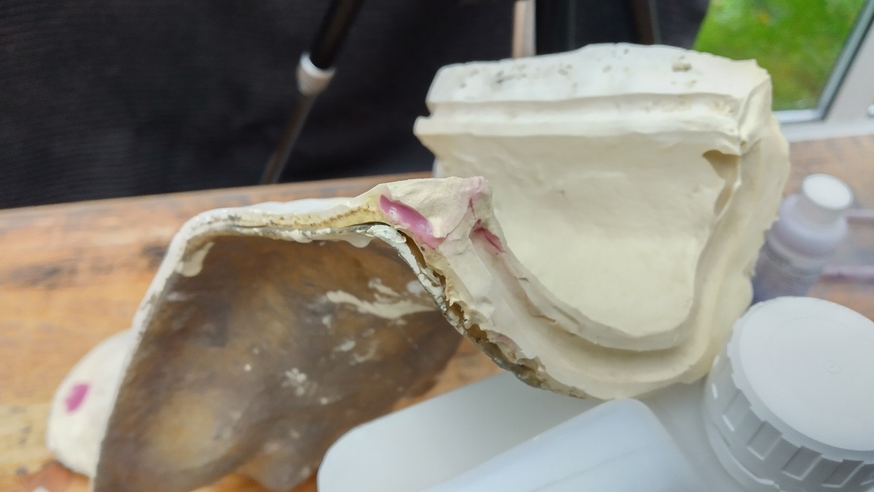 Mould Fix.jpg