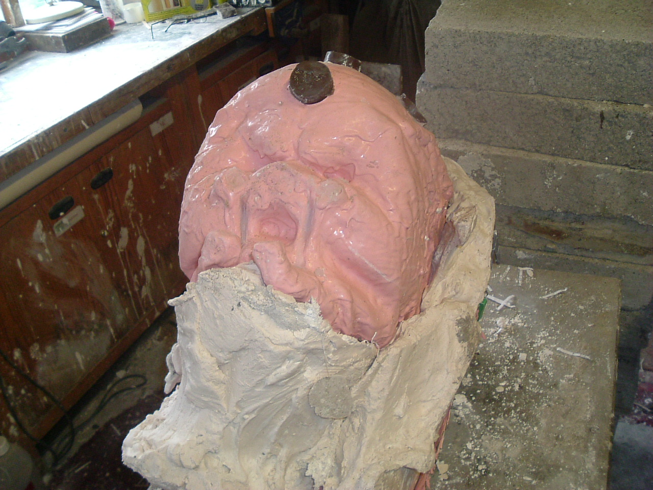 mould_pics_002.JPG