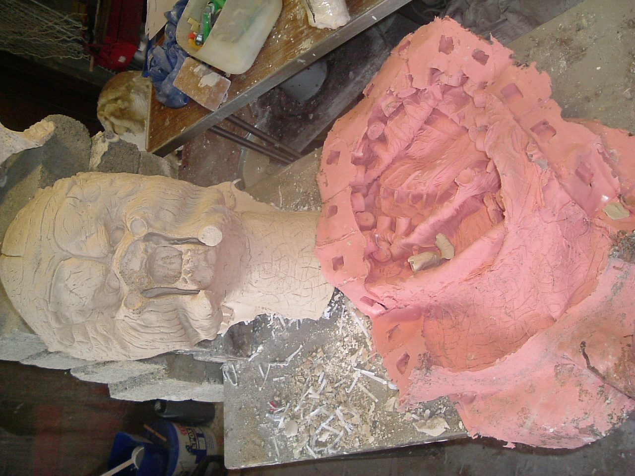 mould_pics_003.JPG