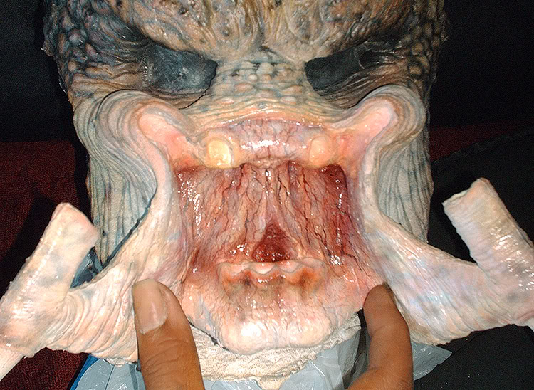 mouth2.jpg