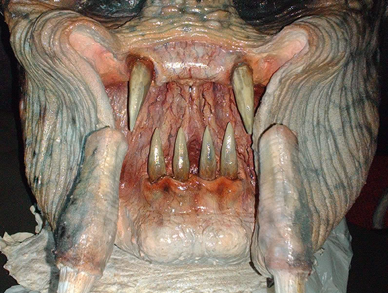 mouth3345.jpg