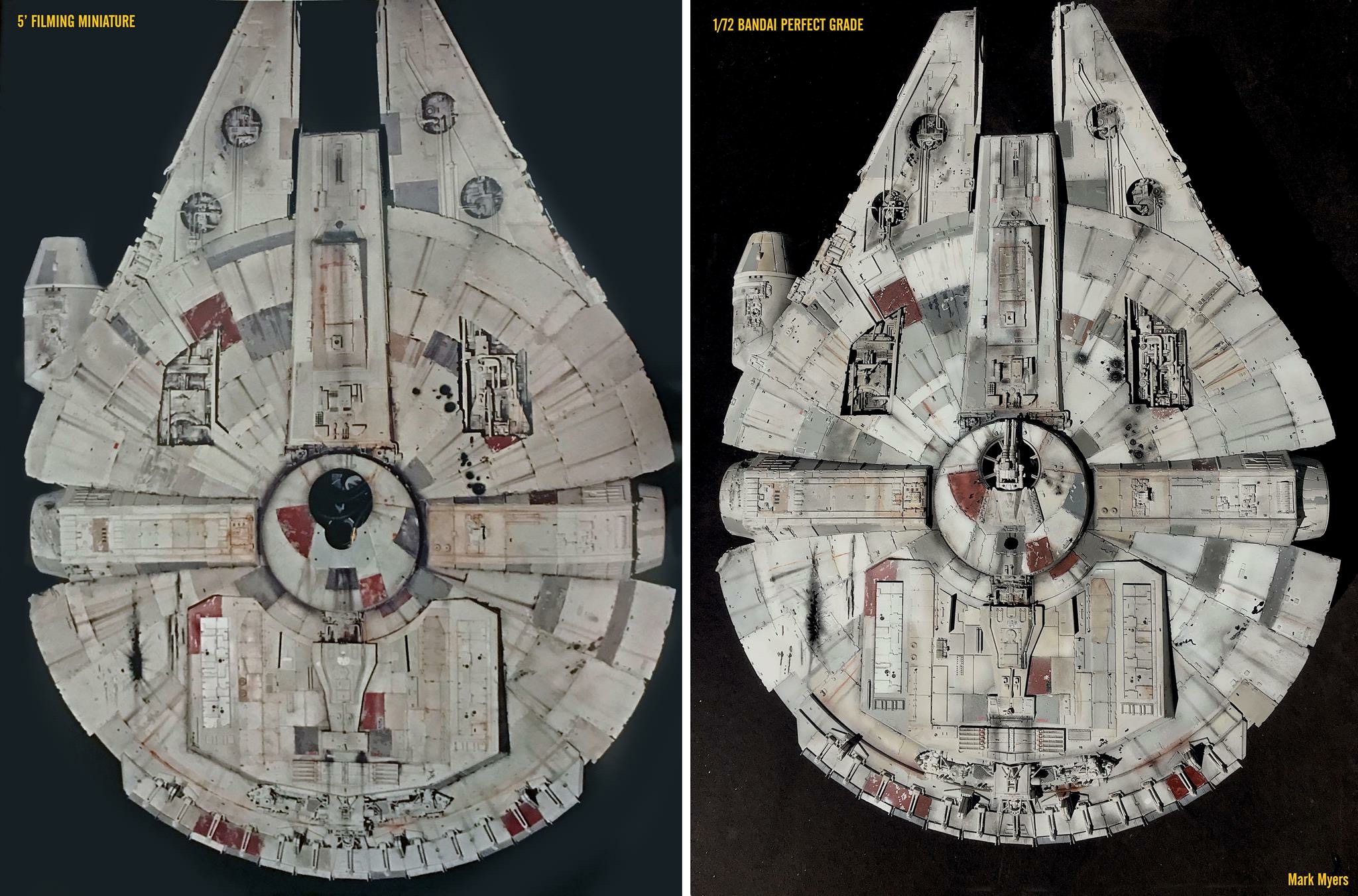 MY FALCON B.JPG