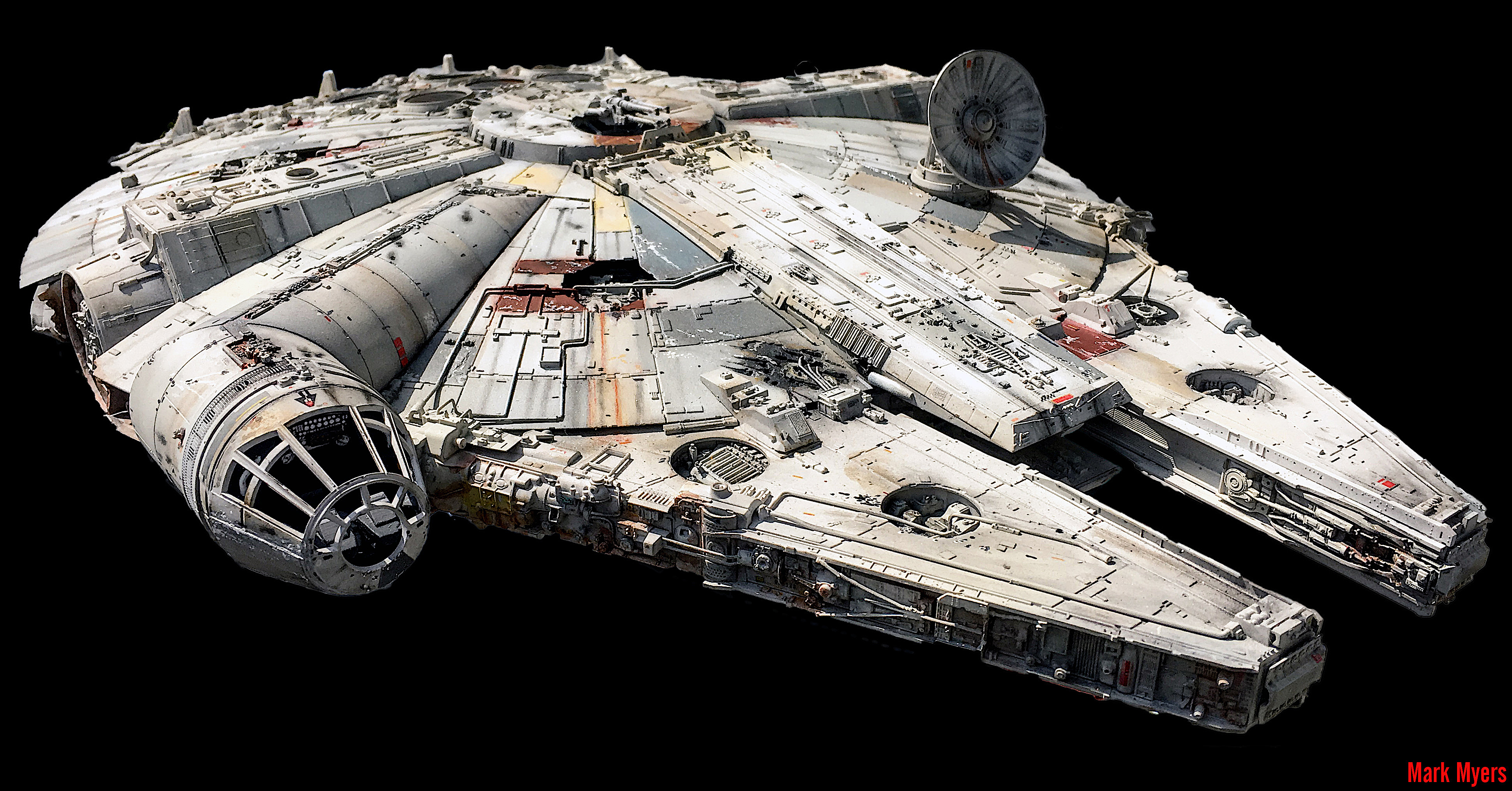 MY FALCON BEAUTY A.jpg