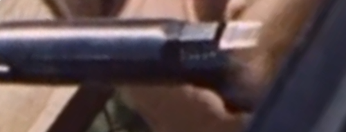 Naked Runner Serial Number.png