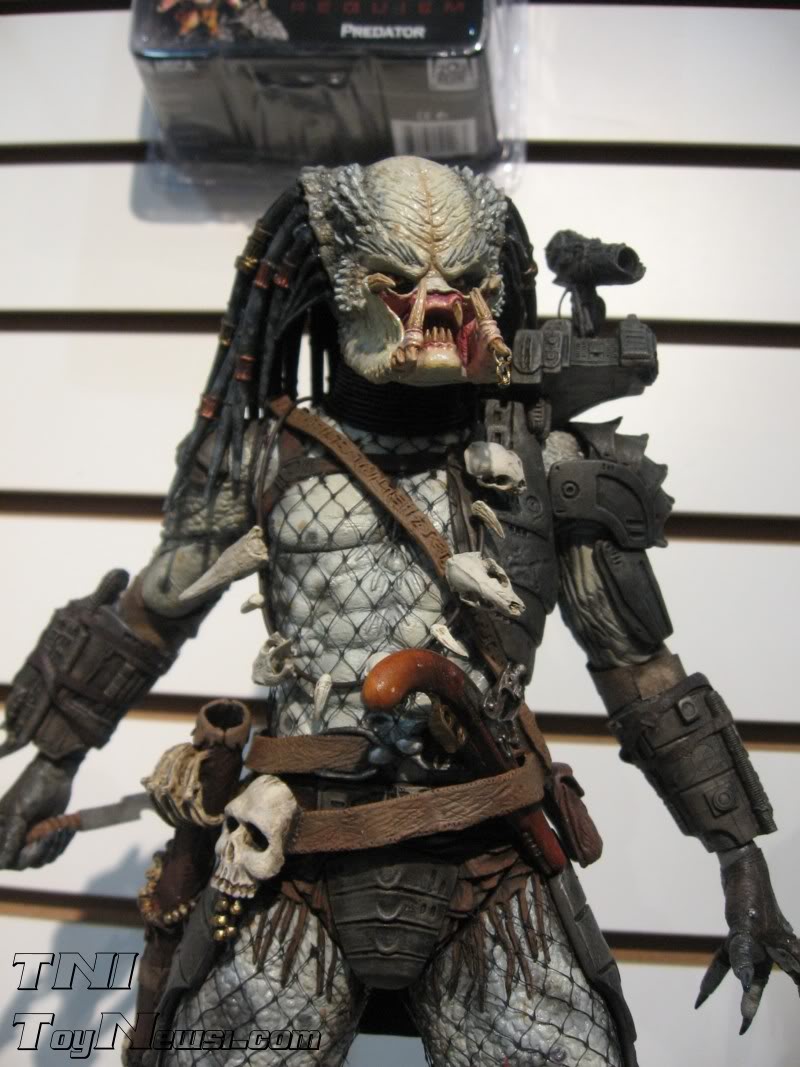necapred11.jpg