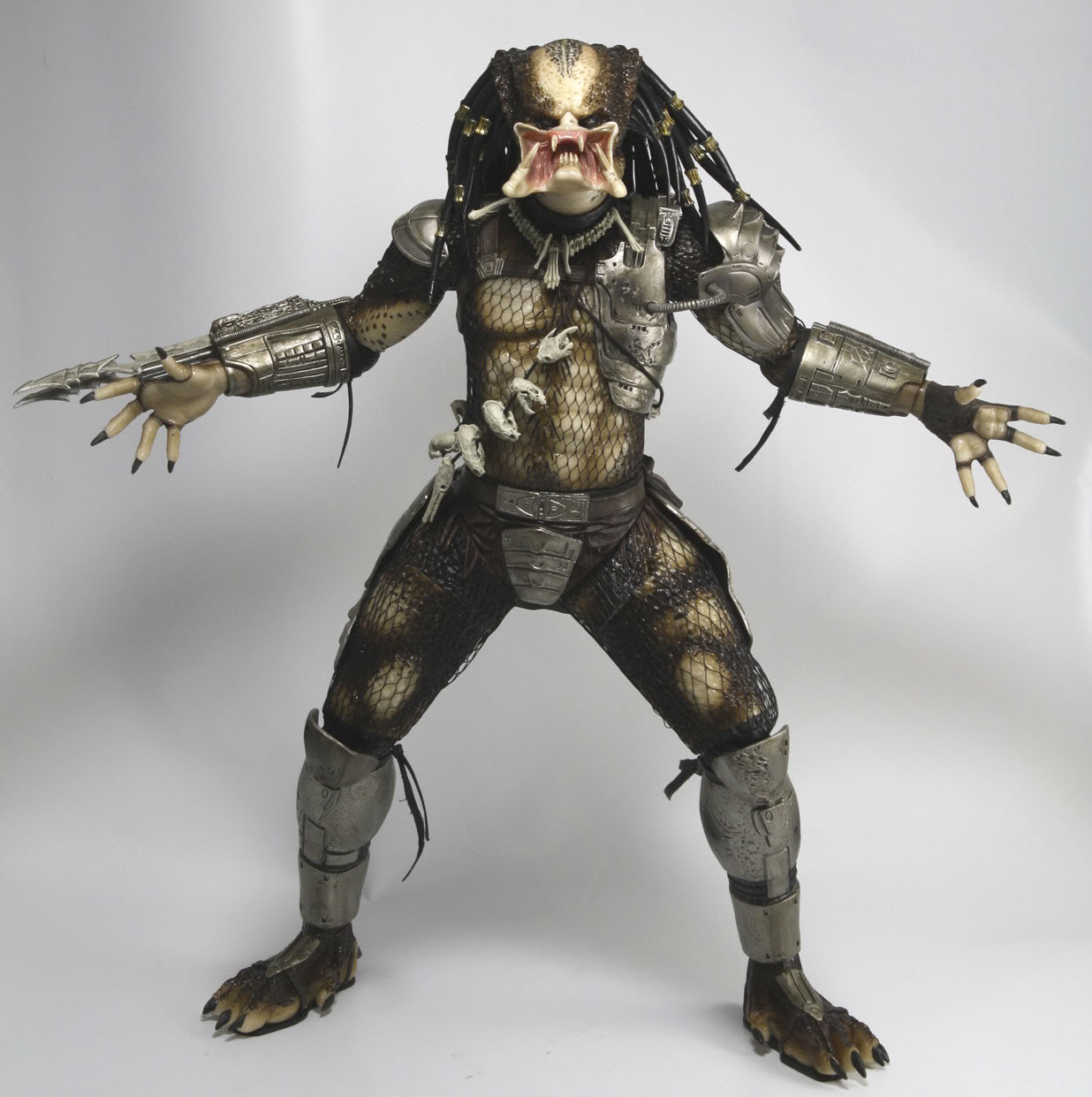 necapredator8.jpg