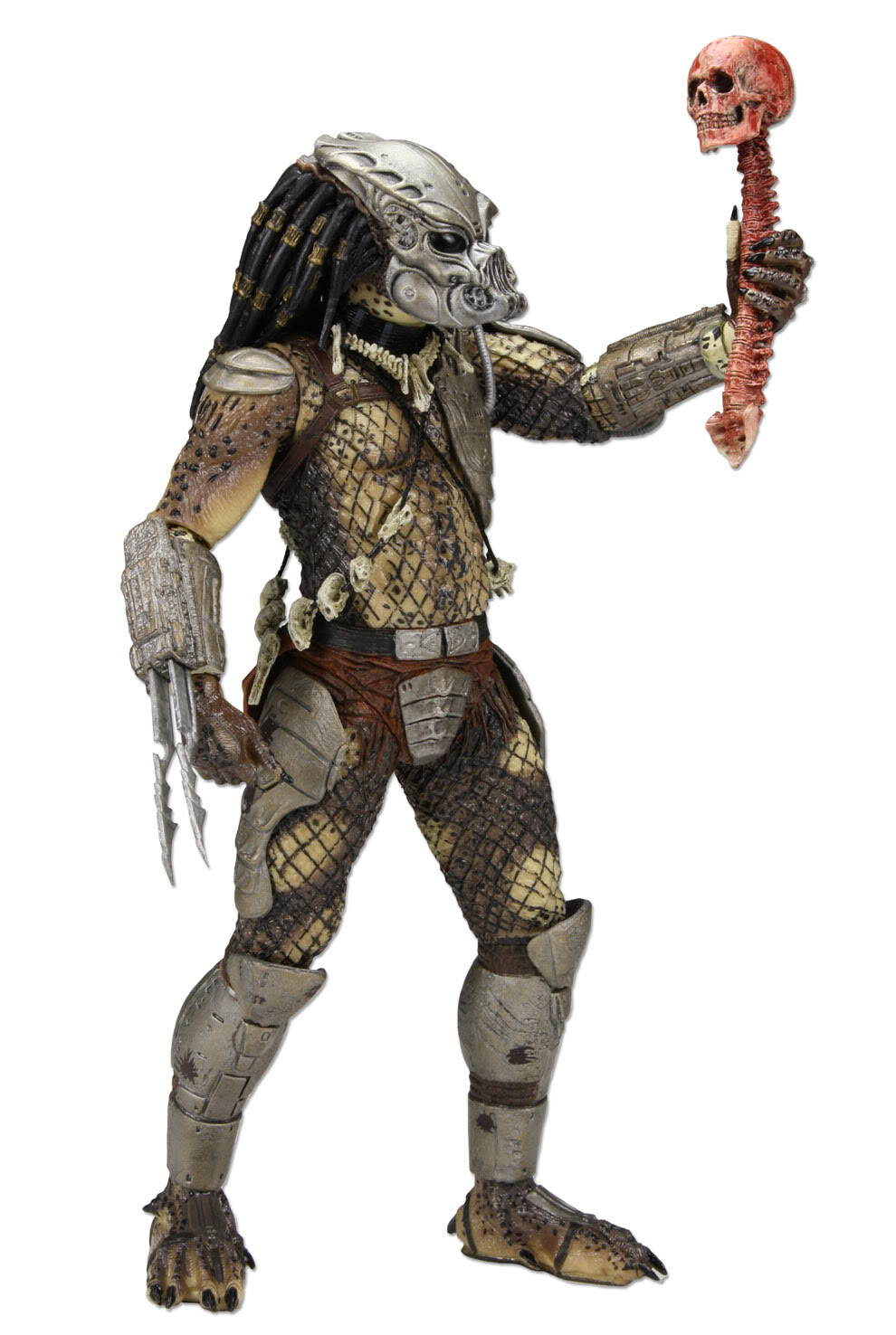 necasdcc1.jpg