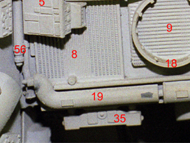 Neck Portside # 19.jpg