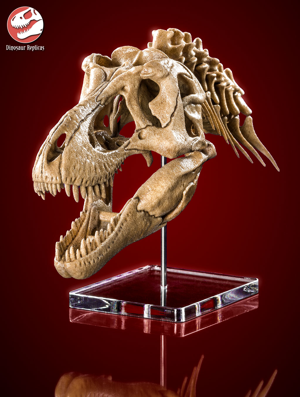 neckskull_rex_deviant_04a_by_strick67-dcnr9bb.jpg