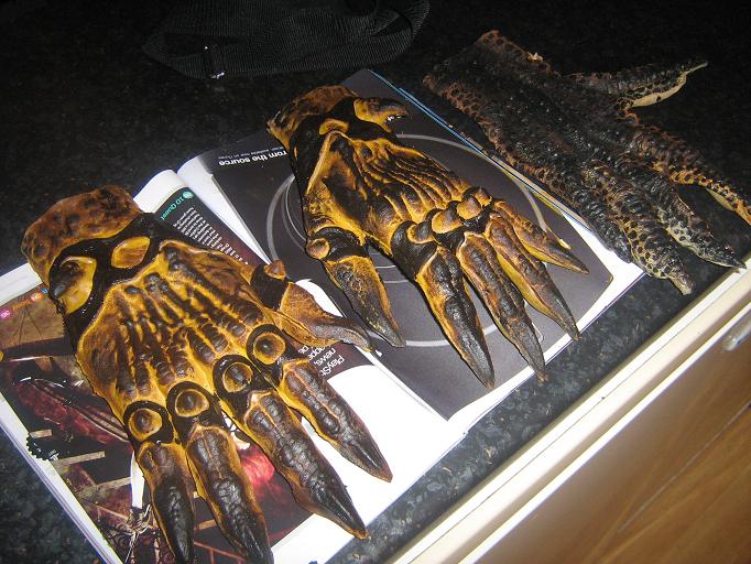 new_hands_009.JPG