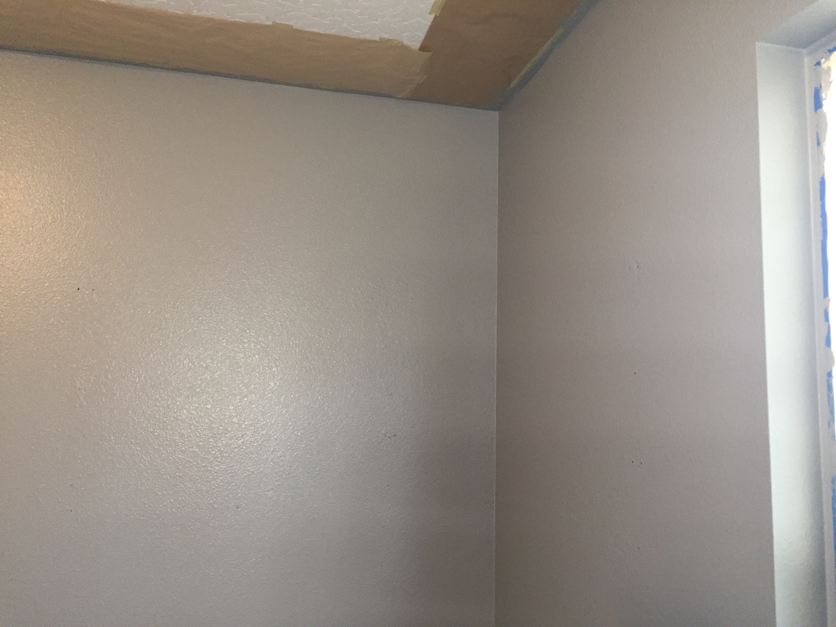 NewWallColor.JPG