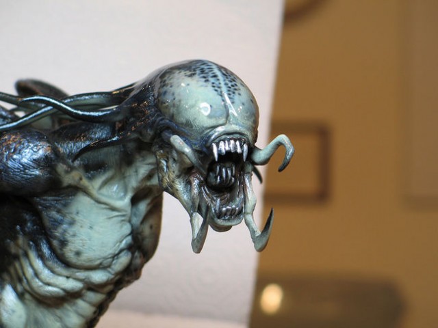 normal-film-avp-36-640x480.jpg