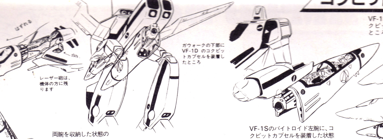 nose_head_cavity.jpg