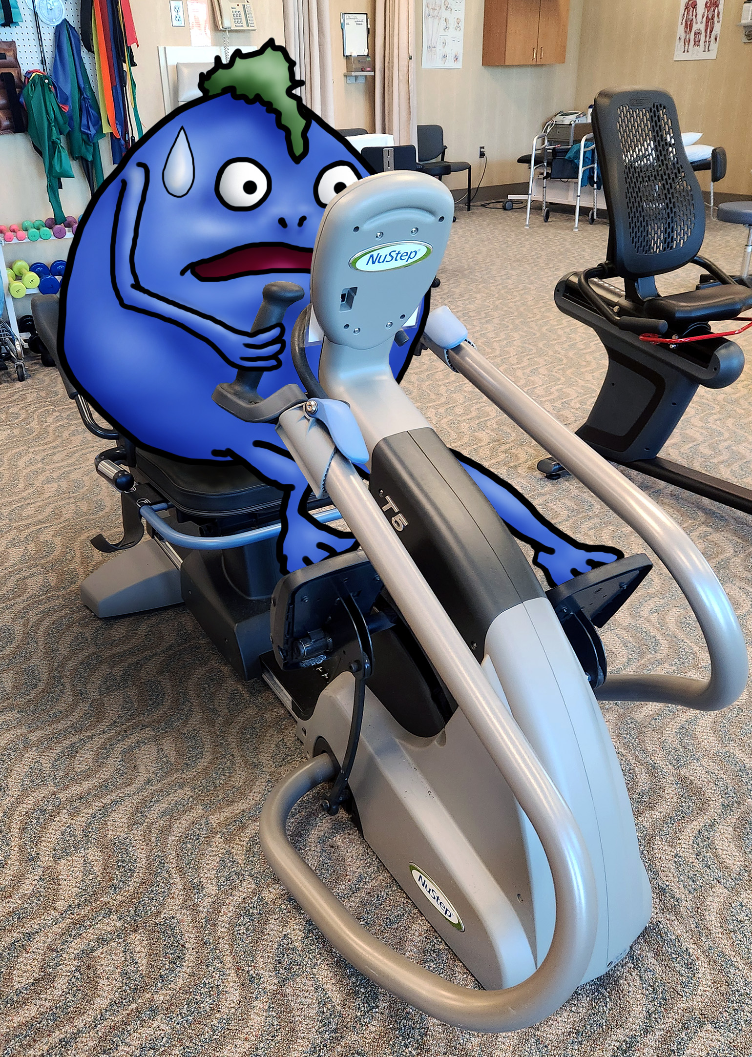 nuStep.jpg