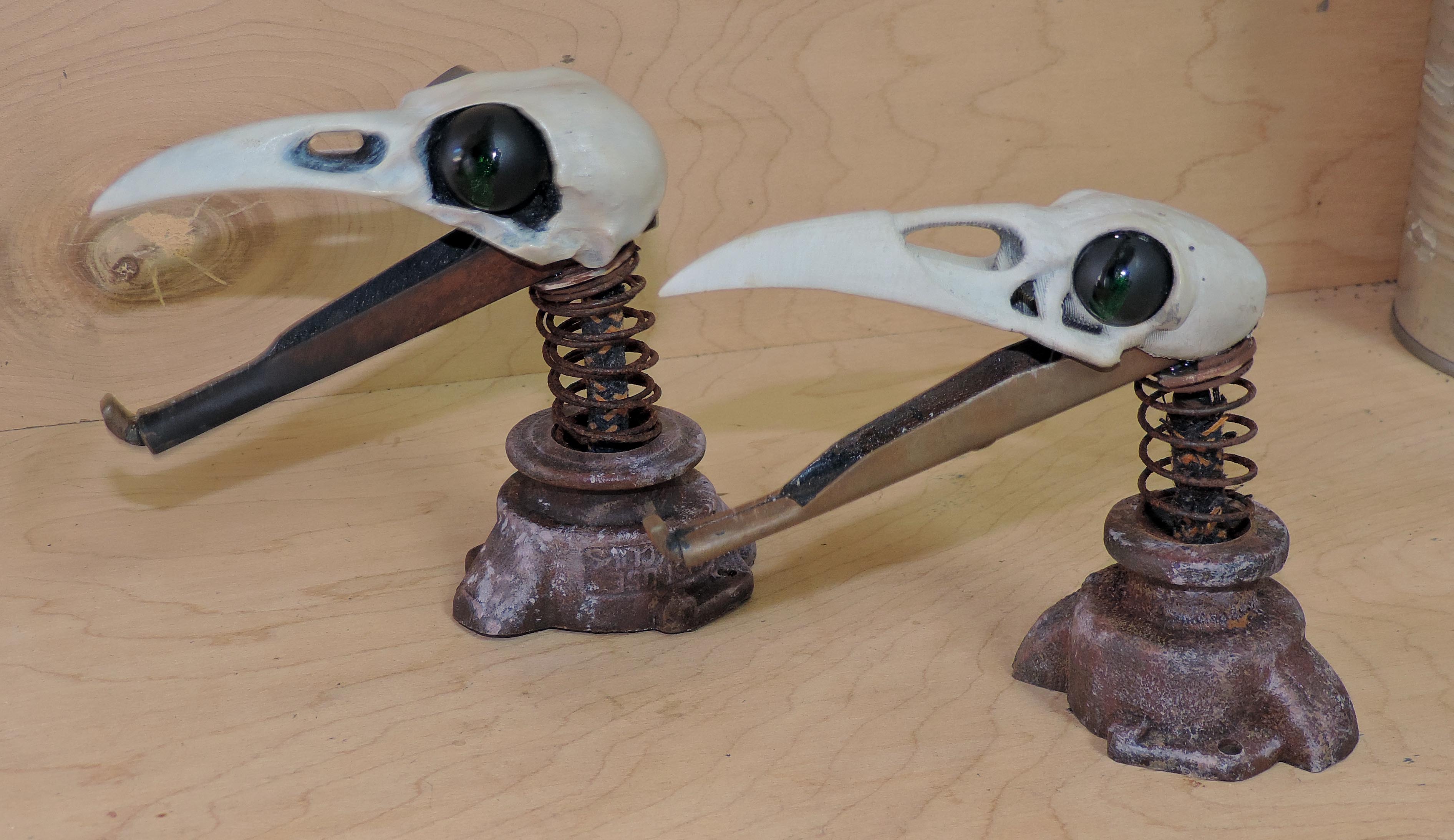 nux birds.jpg