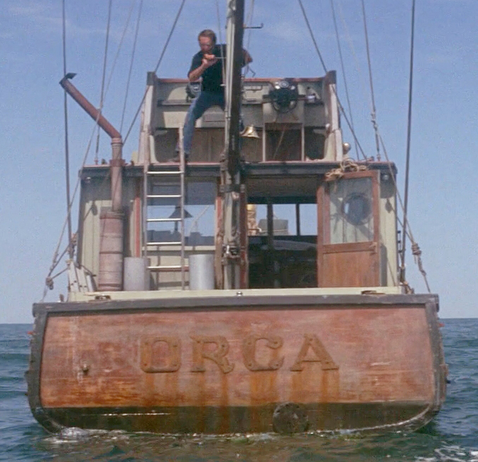 orca stills_1.1.39.jpg
