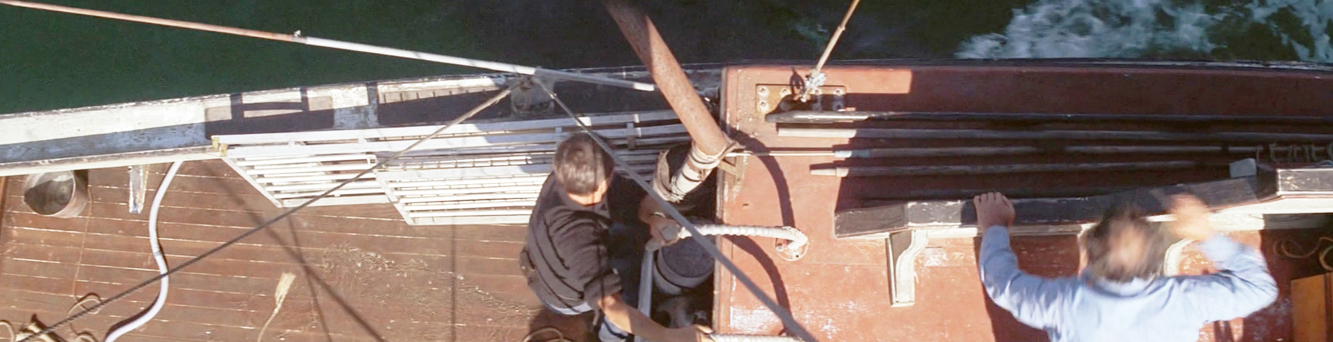 orca stills_1.1.59.jpg