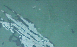 Original 002 A.jpg
