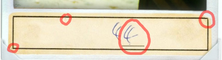 overlayed 4.jpg